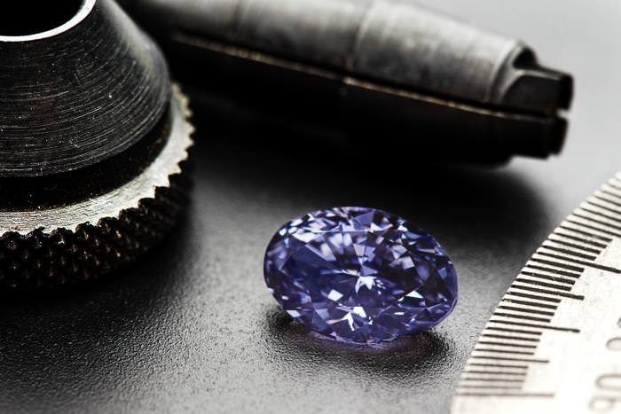 The Argyle Violet