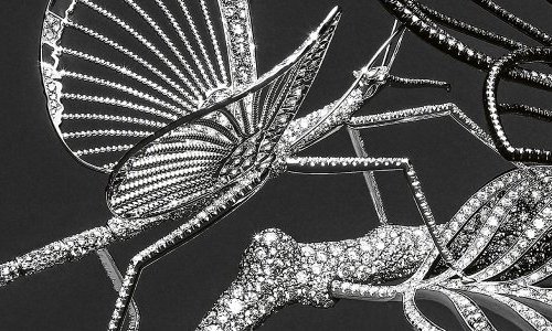 At Boucheron, Claire Choisne recounts nature's fleeting beauty