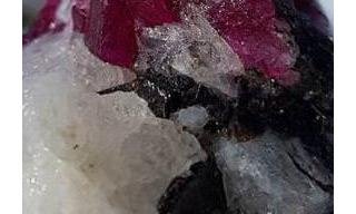 Greenland Ruby Sponsors Vegas Contest at JCK Luxury